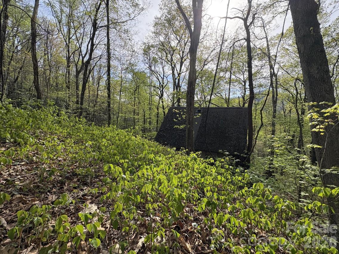 999999 Harwood Rd., Barnardsville, NC 28709