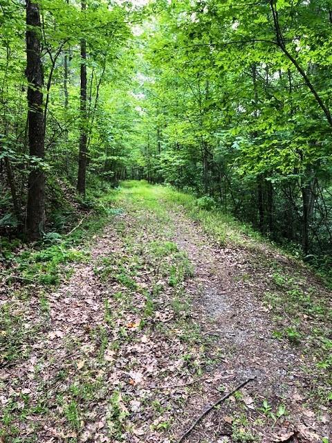 Lot 46 Lake Adger Pkwy., Mill Spring, NC 28756