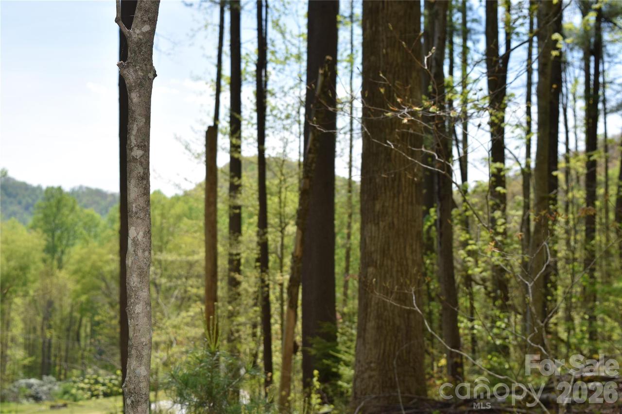 TBD Cabin Flats Rd., Balsam, NC 28707