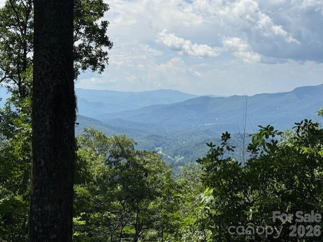 5379 Preserve Rd. #189, Sylva, NC 28779
