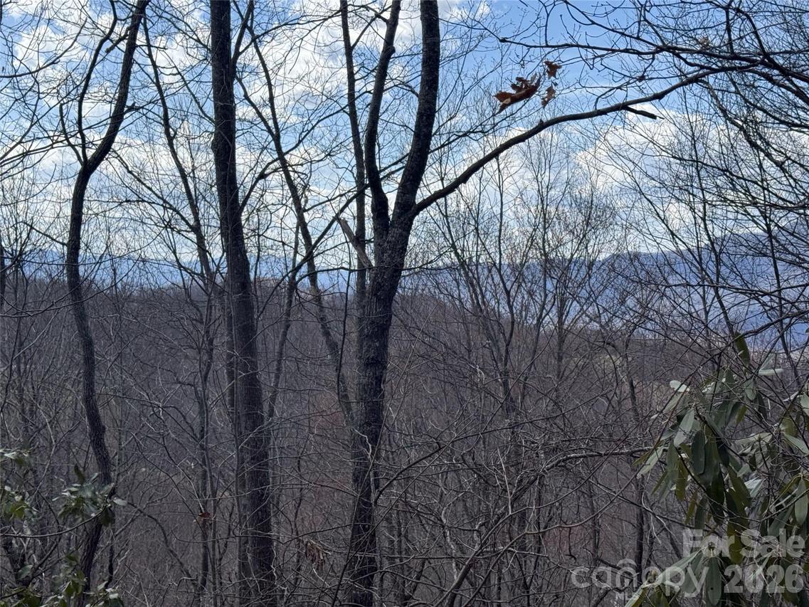 81 Boarding House Way #92, Sylva, NC 28779