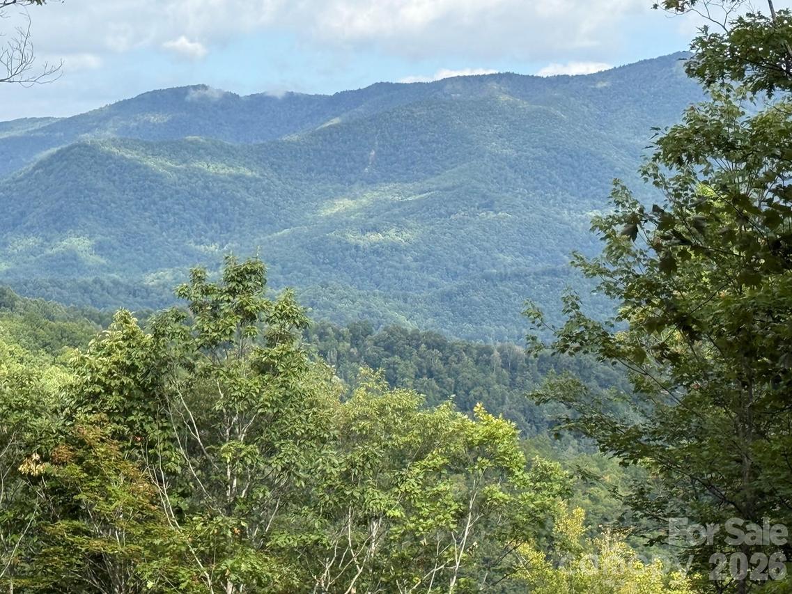 LT 262 Tote Rd. #262, Sylva, NC 28779