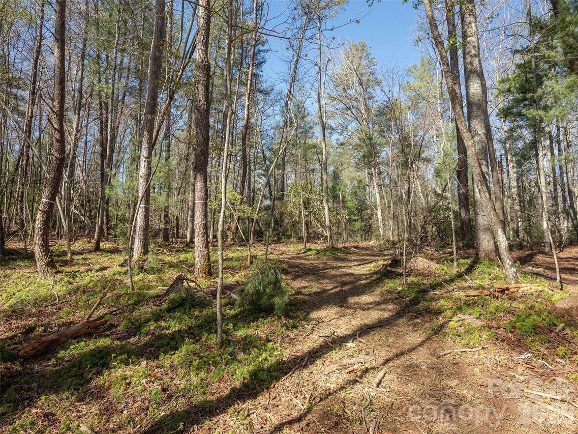 137 Nancy Ashworth Ln. #13, Fairview, NC 28730