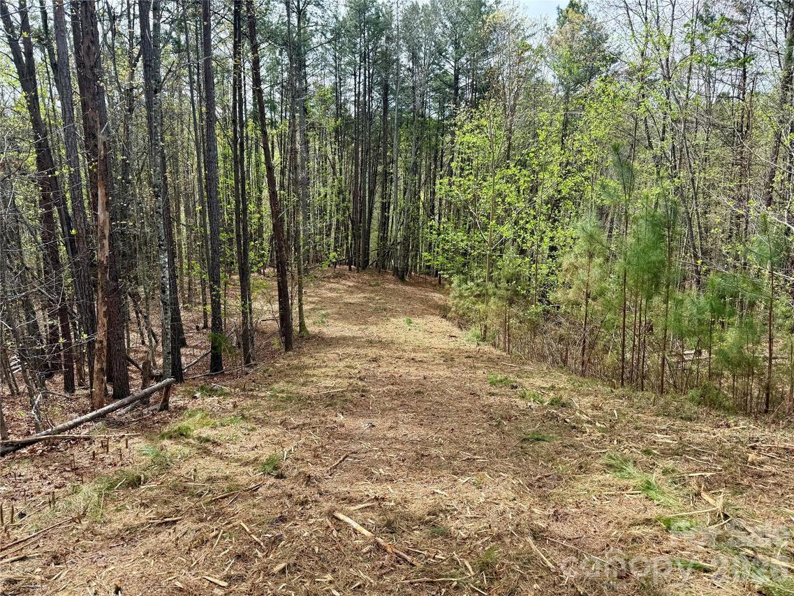 Lot 488 Bella Vista Way #488, Nebo, NC 28761