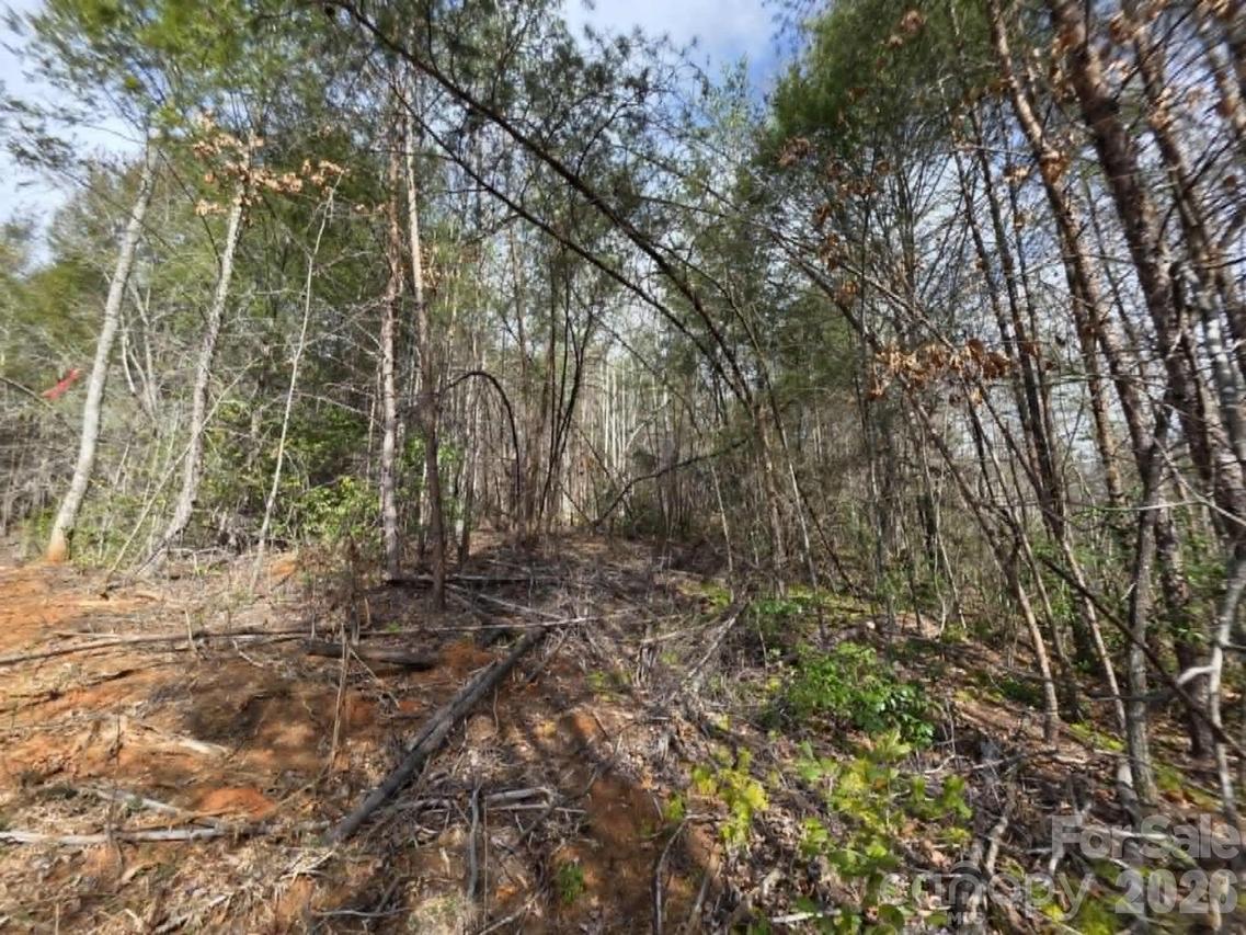 Lot 7 Kerlee Ln., Old Fort, NC 28762