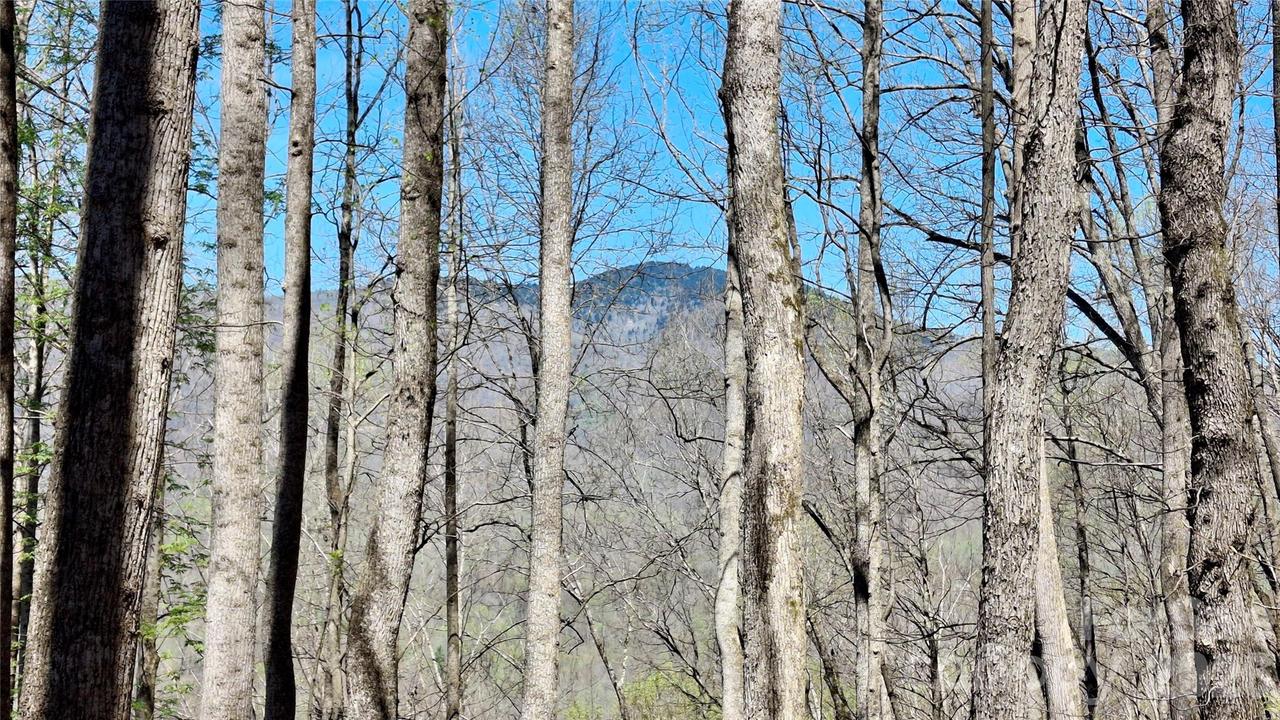 00 Maynor Dr., Sylva, NC 28779