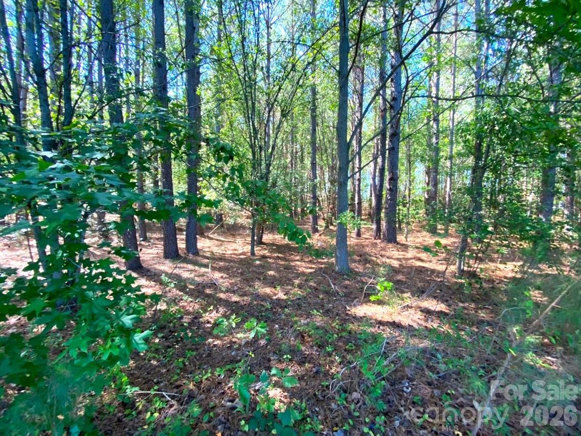 147-Lot A Baxter Rd. #2 lots 3 ac each, Cherryville, NC 28021