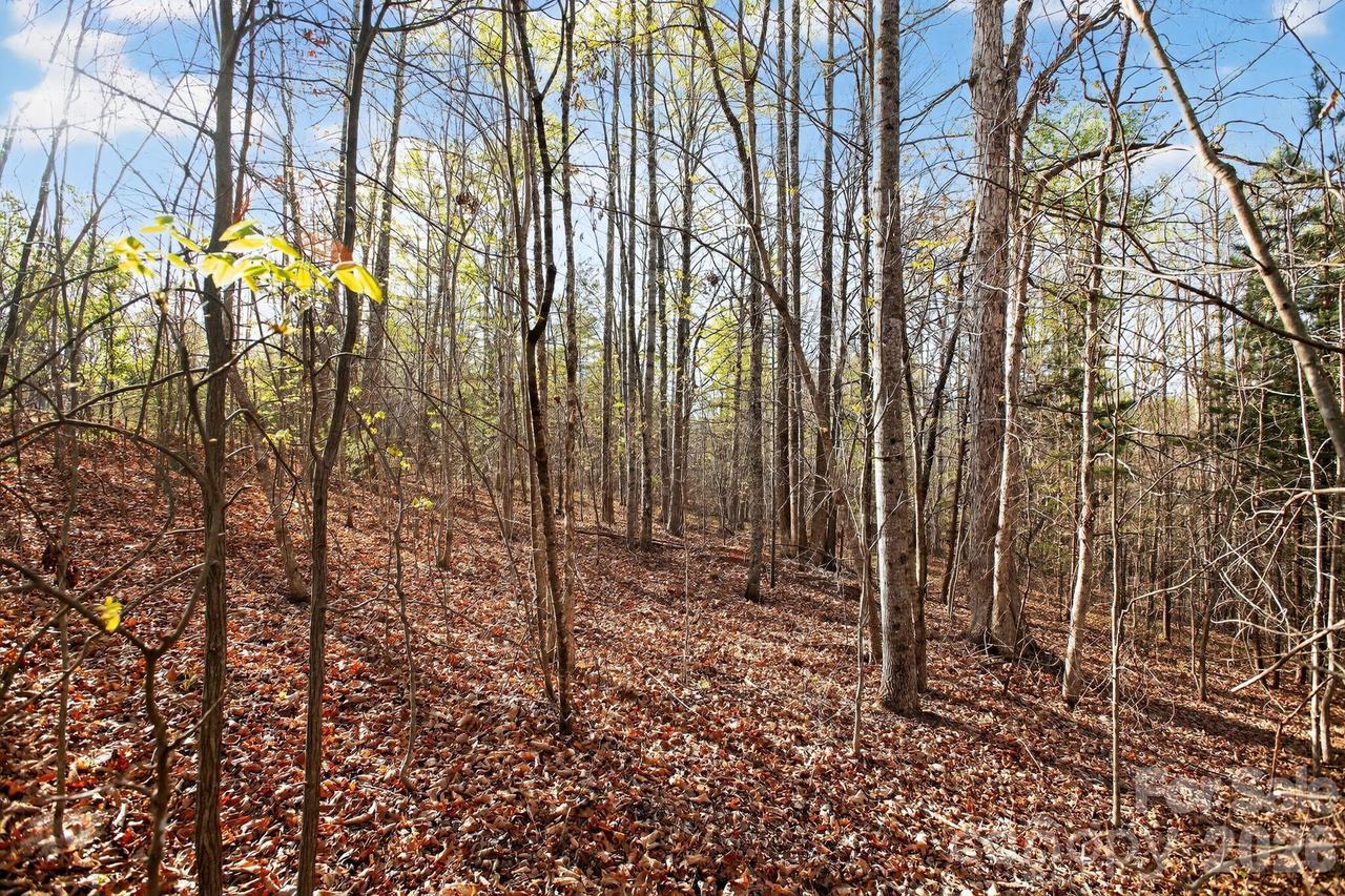 Lot 62 Dirksen Ave., Nebo, NC 28655