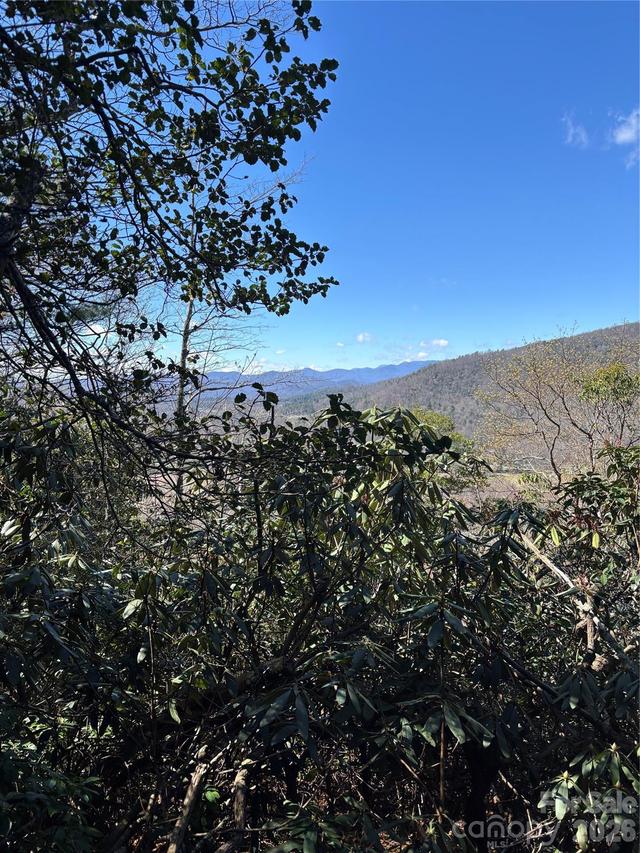 TBD Top Of The Mountain Rd., Penrose, NC 28766