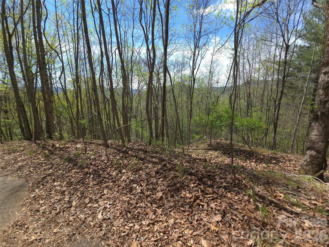 Winding Way Dr. #32/33, Franklin, NC 28734