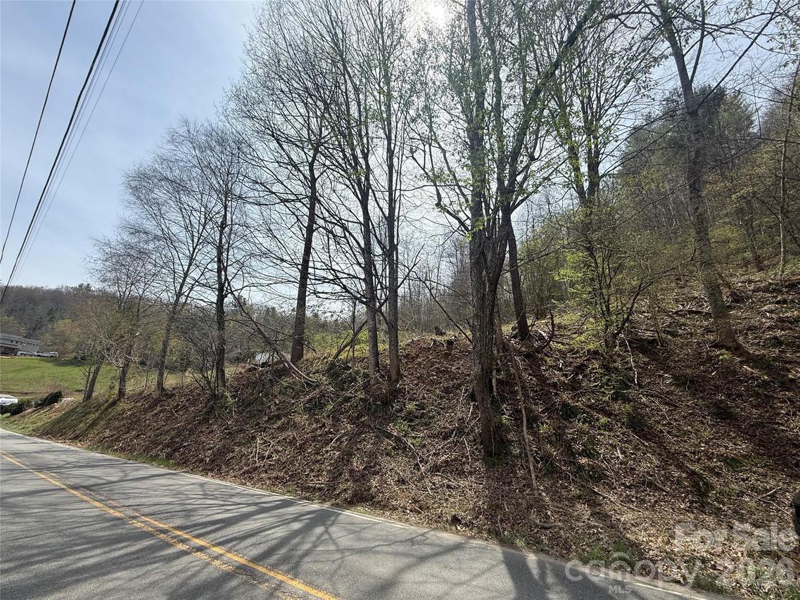 Hortons Creek Rd., Burnsville, NC 28714