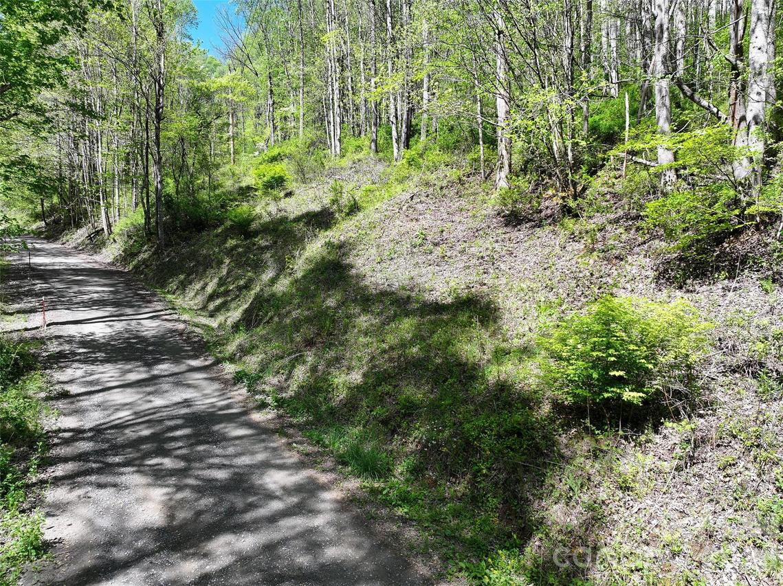 00 Hanks Rd., Waynesville, NC 28785