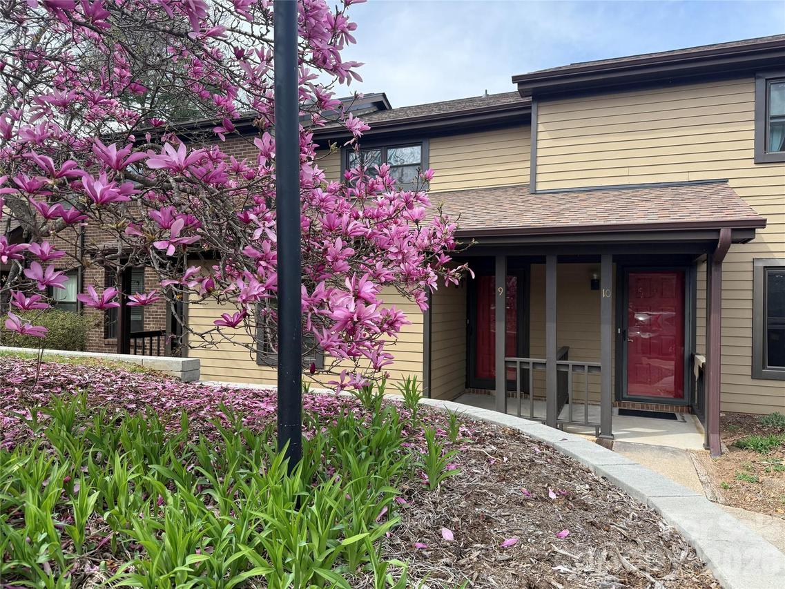 16 Spears Ave. #9, Asheville, NC 28801
