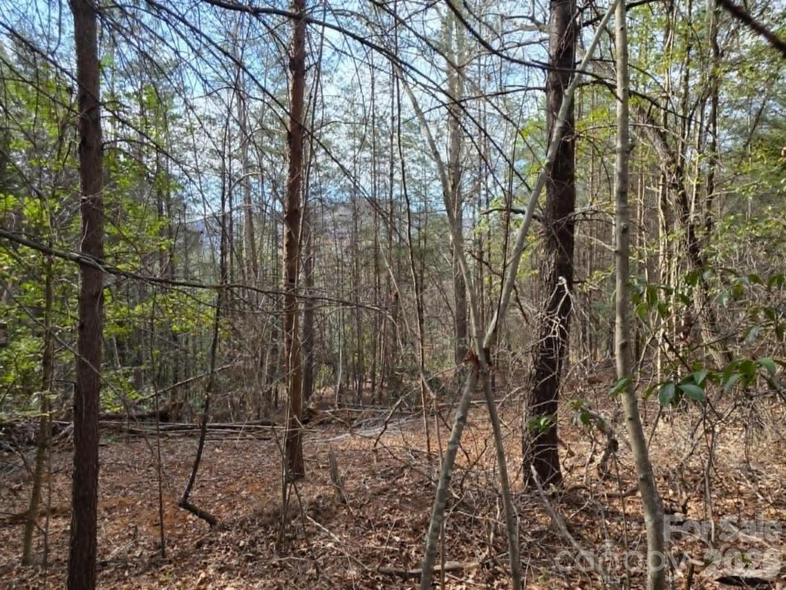 Lot 6 Kerlee Ln., Old Fort, NC 28762