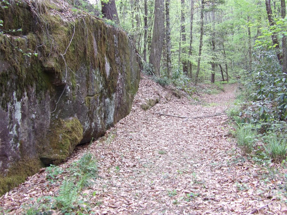 00000 Barlowe Pl., Lenoir, NC 28645