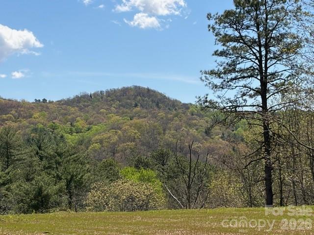 181 Pathkiller Rd., Lake Toxaway, NC 28747