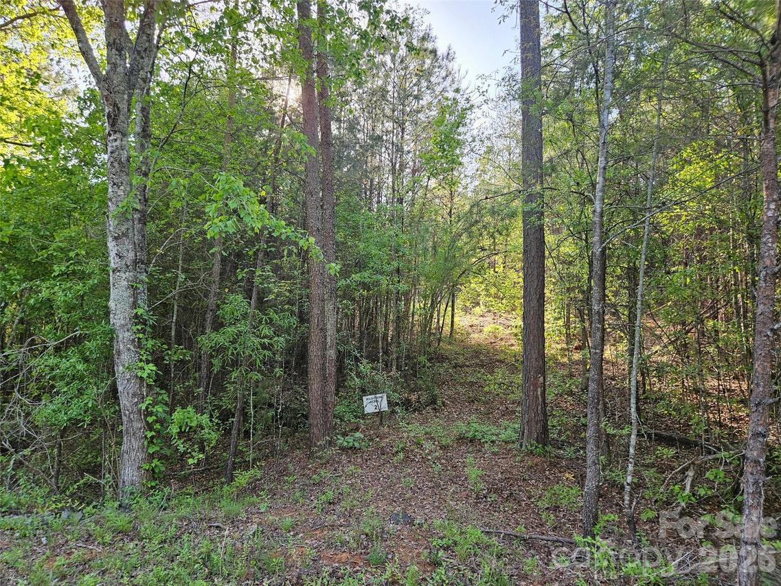 Old Hollis Rd. #2, Ellenboro, NC 28040