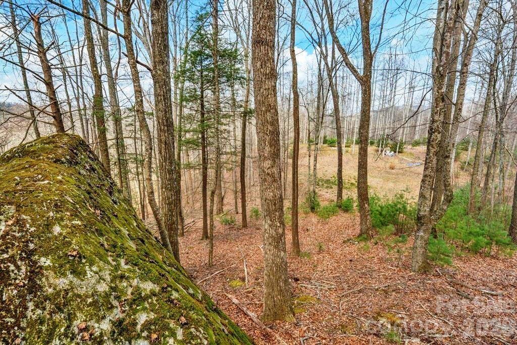 tbd Denney Wood Rd., Sugar Grove, NC 28679