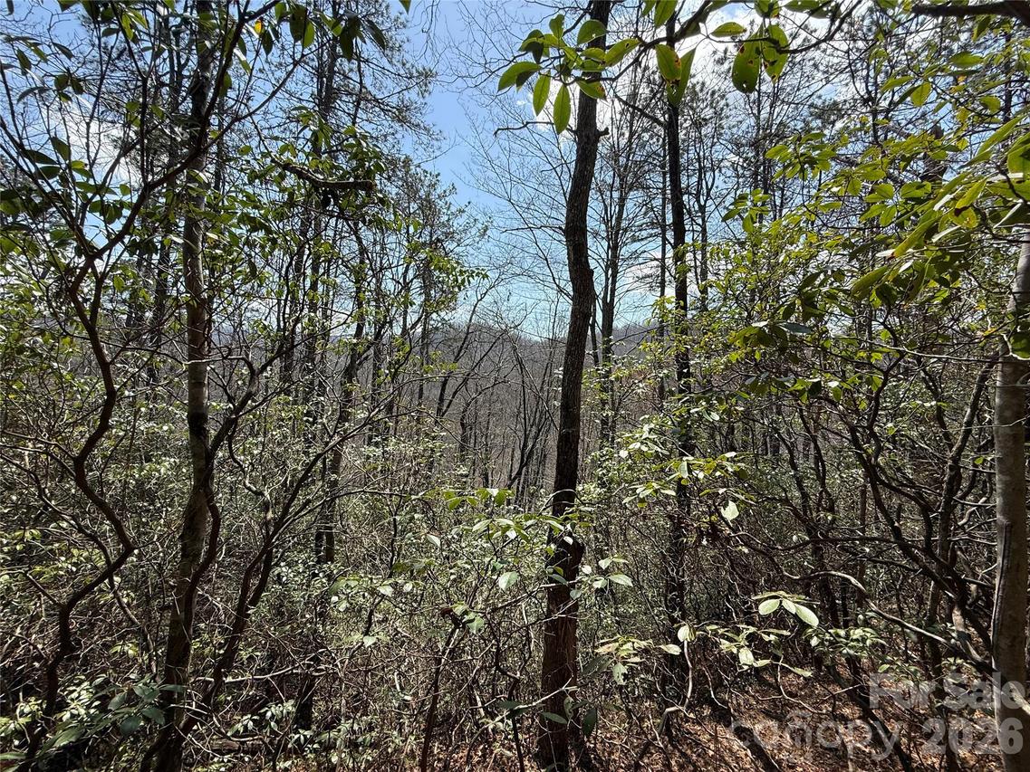 00 Line Runner Ridge Rd., Rosman, NC 28722