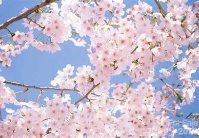 18736 Nautical Dr. #305, Cornelius, NC 28031