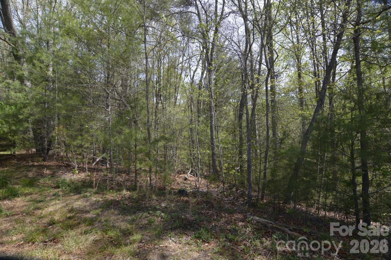 00 Garnet Dr., Leicester, NC 28748