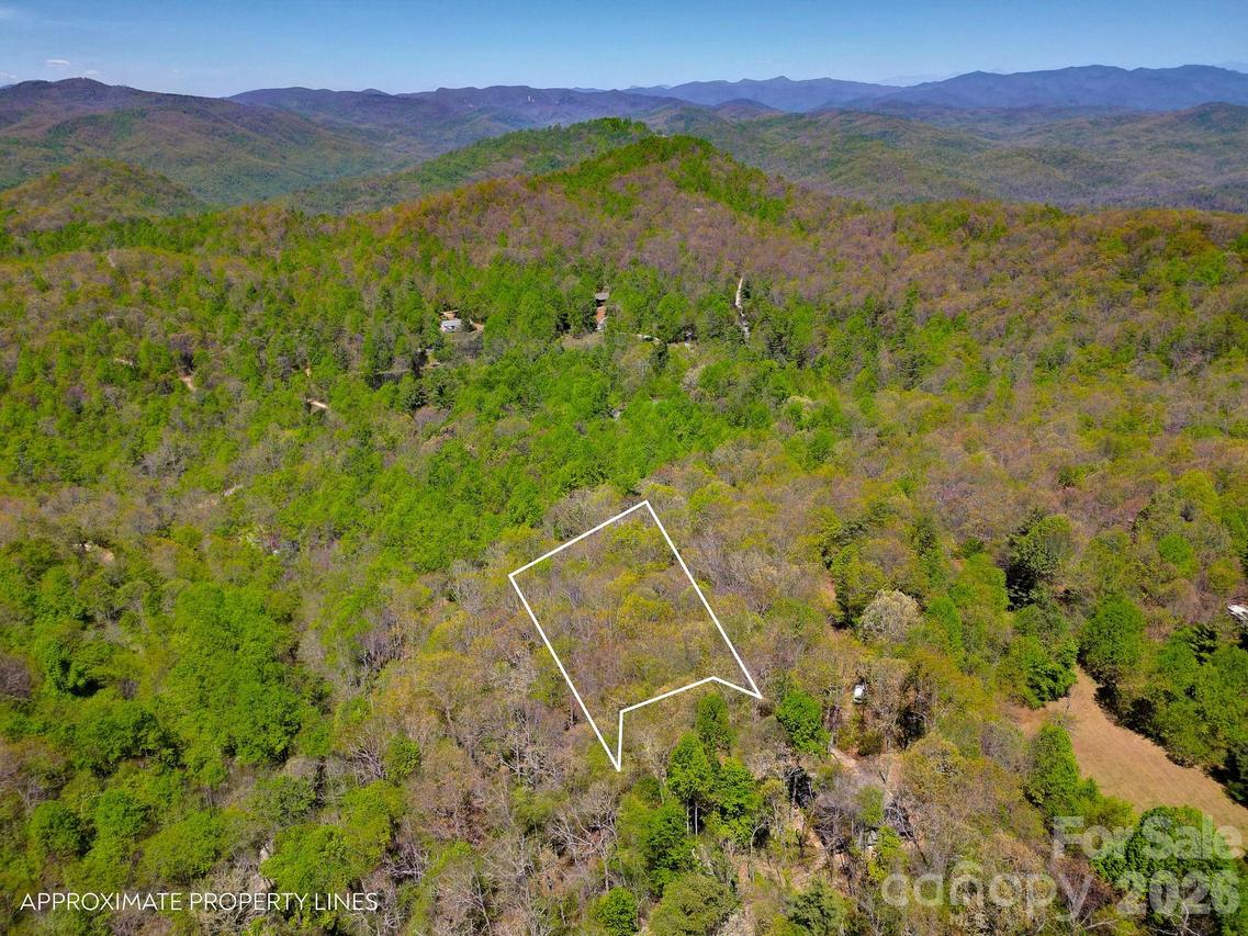 99999 Laurel Dr., Black Mountain, NC 28711
