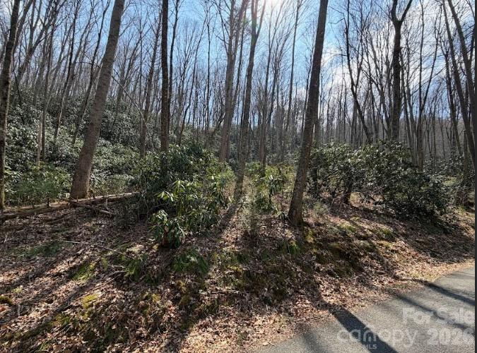 TBD Coyote Hollow Rd. #66, Waynesville, NC 28785