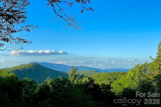 7109 Grandview Extension, Newland, NC 28657