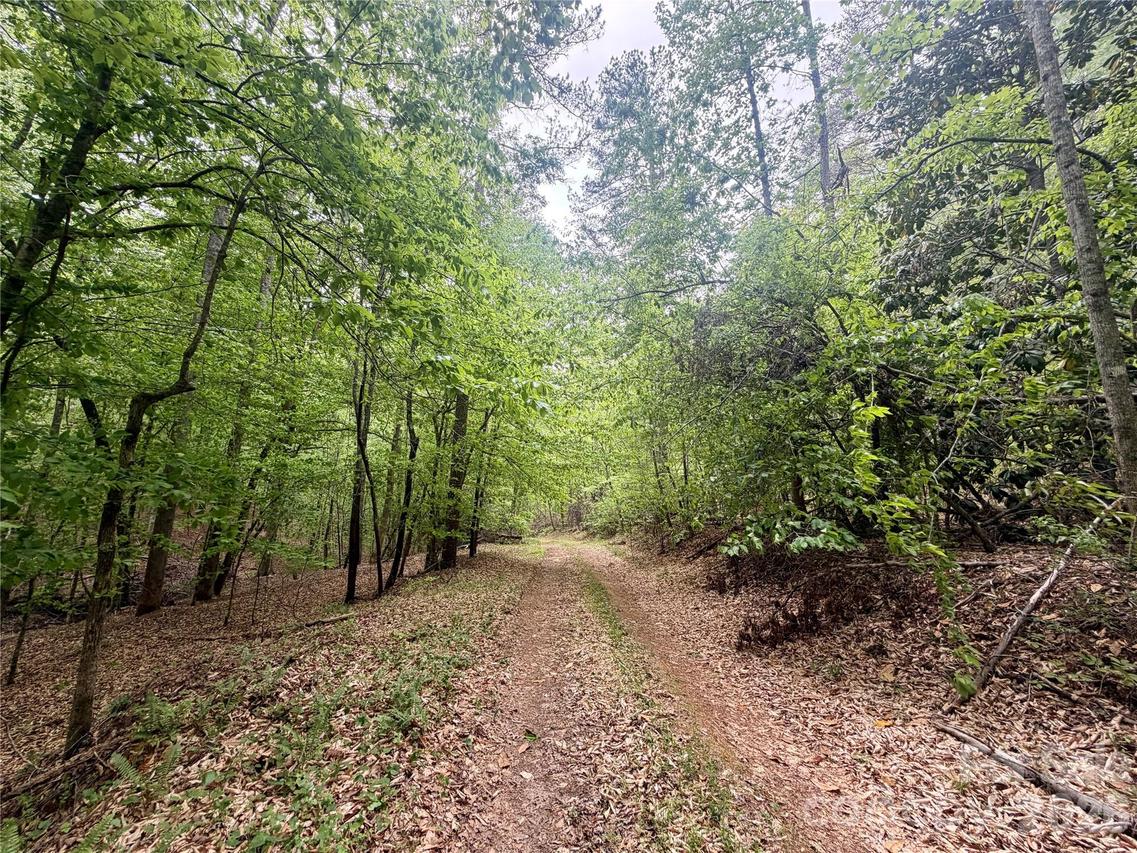 Polk County Line Rd., Rutherfordton, NC 28139