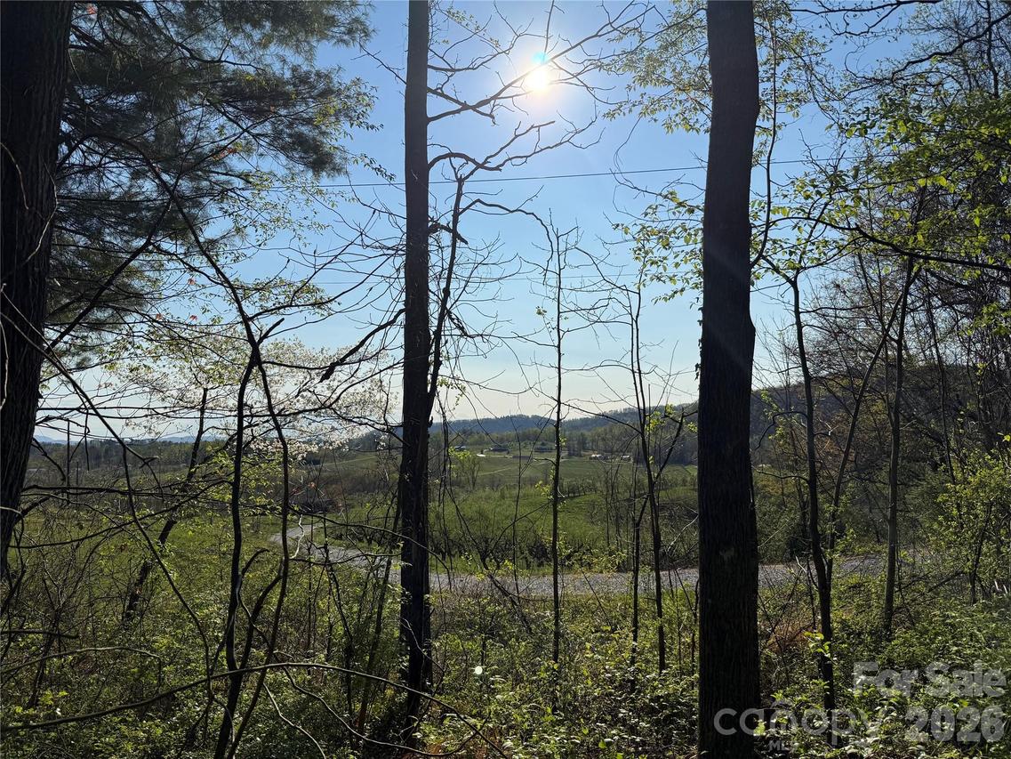 000 Woodlyn Etch Dr., Hendersonville, NC 28792