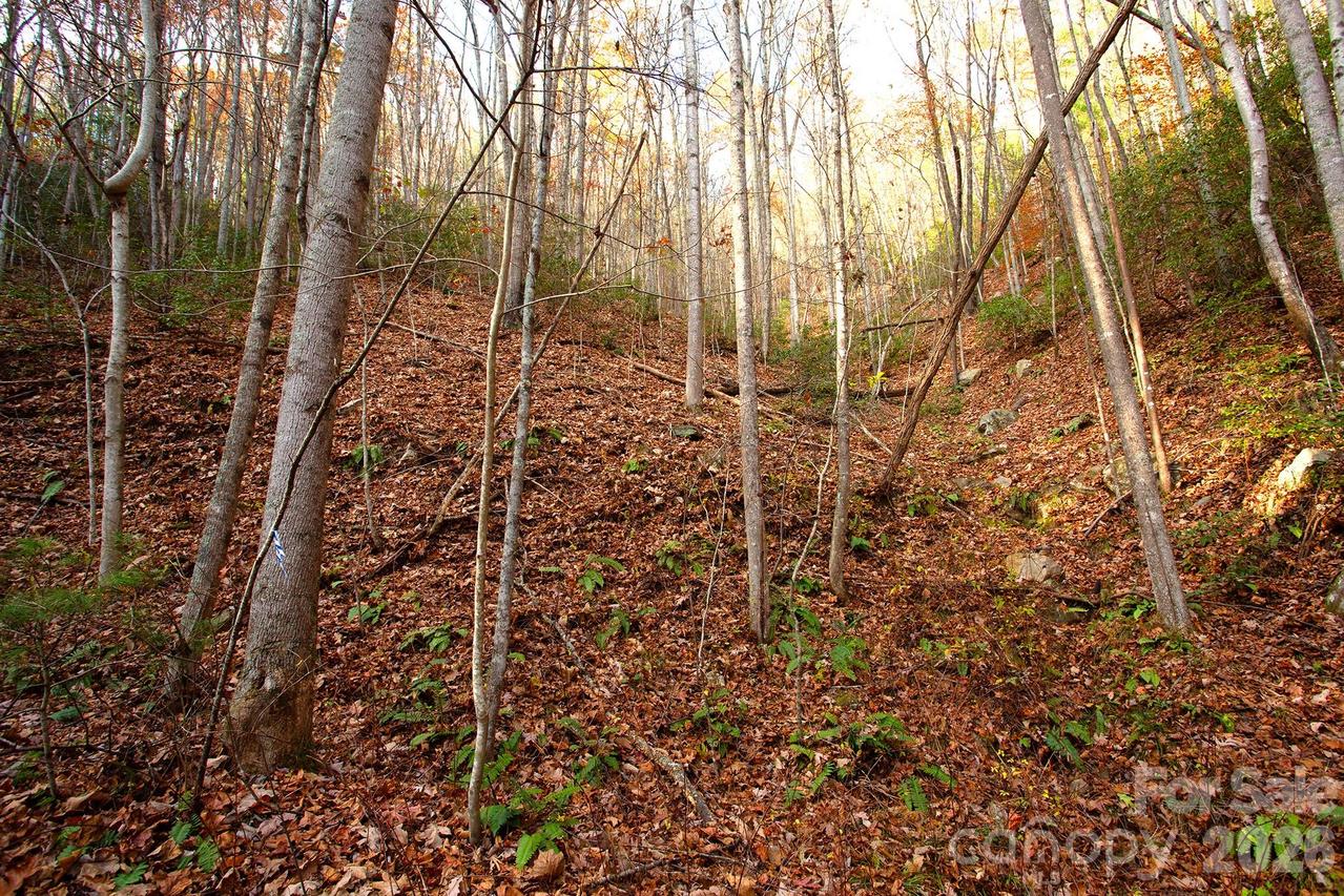 TBD Rector Branch Rd. #4, Marshall, NC 28743