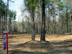 Lot 8 Dellinger Rd., Denver, NC 28037