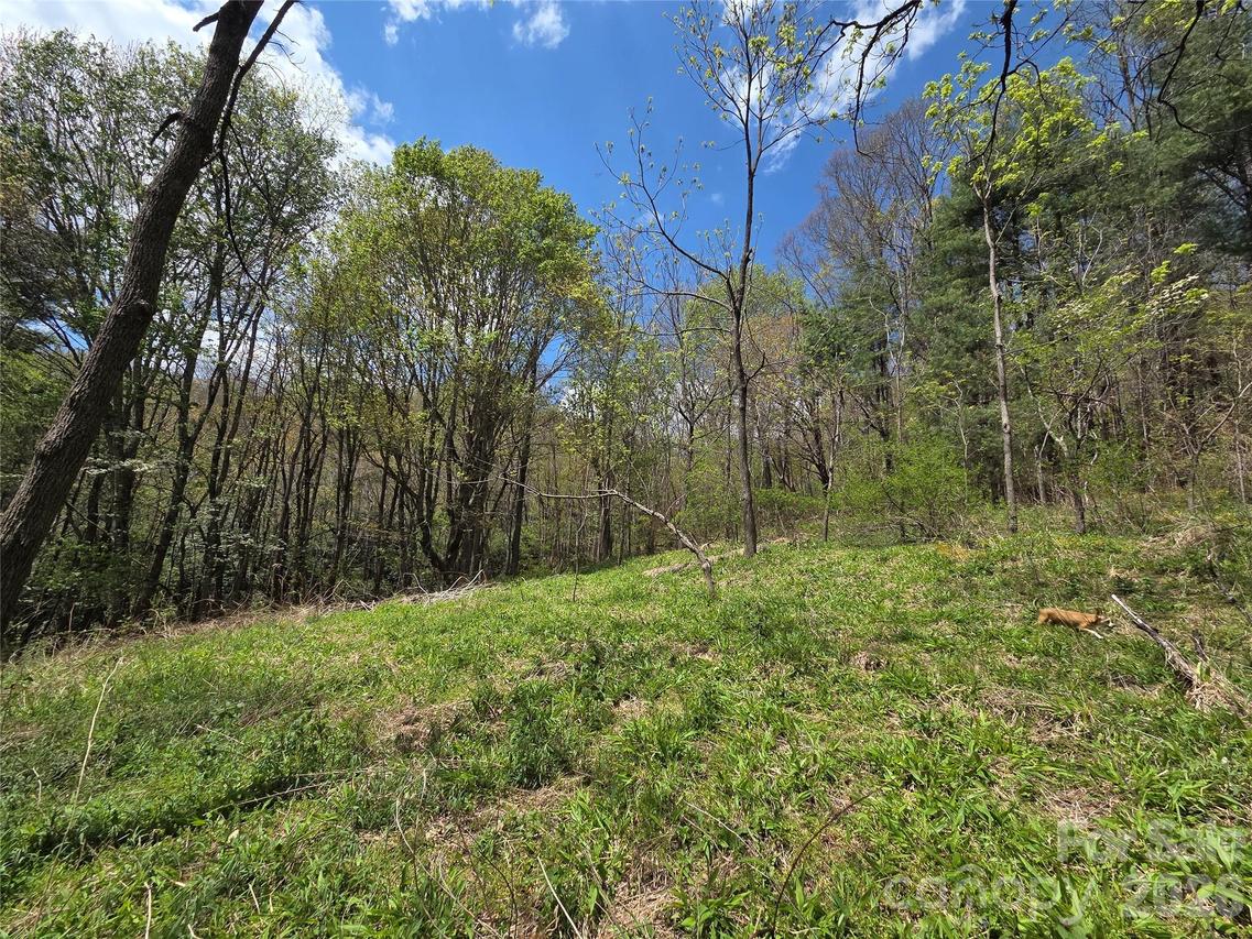 Robinson Creek Rd., Glenville, NC 28736