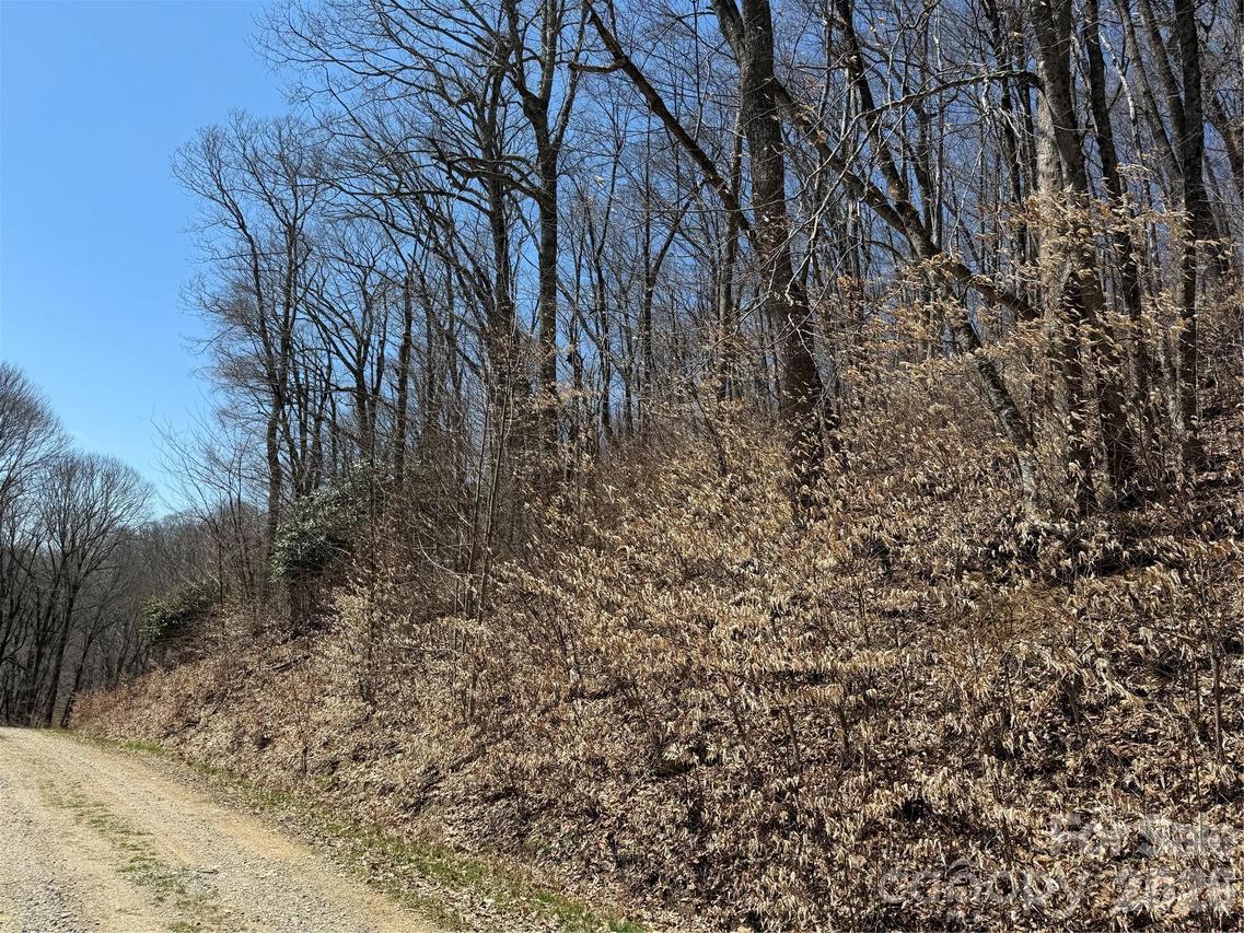 000 Granny Shepherd Rd. #lot 4, Mars Hill, NC 28754