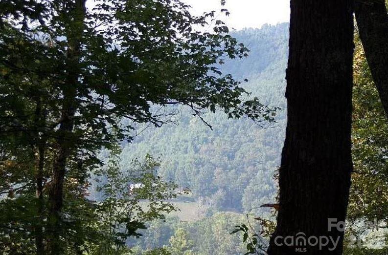 100 Black Bear Ridge Tr., Zirconia, NC 28790