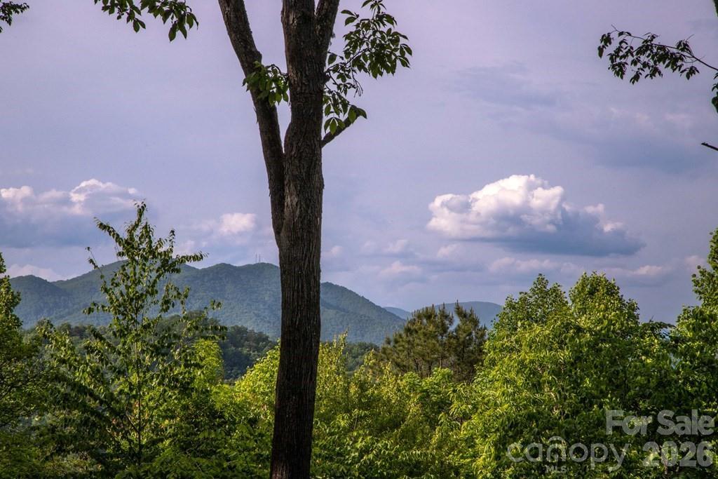 339 Honey Locust Tr. #9, Whittier, NC 28789