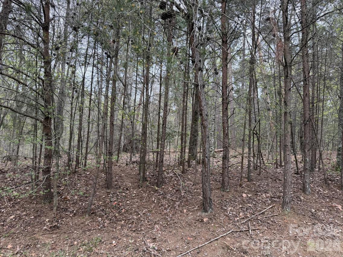 Whisper Lake Dr. #120, New London, NC 28127