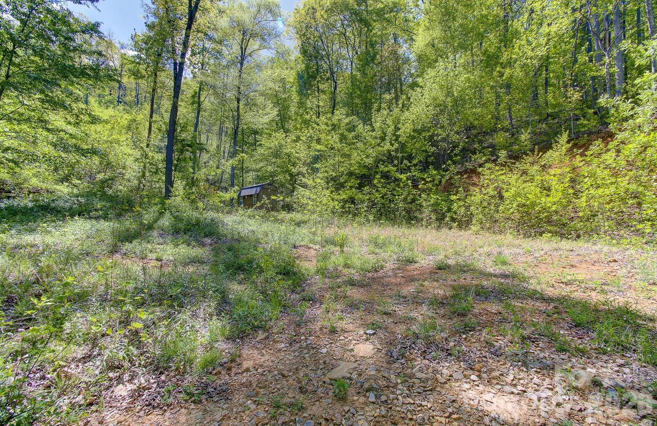 109 & 99999 Apgar Rd., Candler, NC 28715