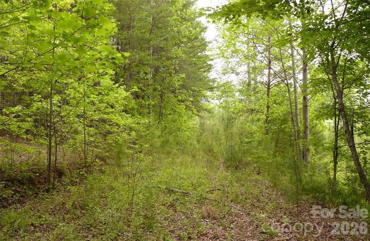 Vineyards Way #14, Lake Lure, NC 28746