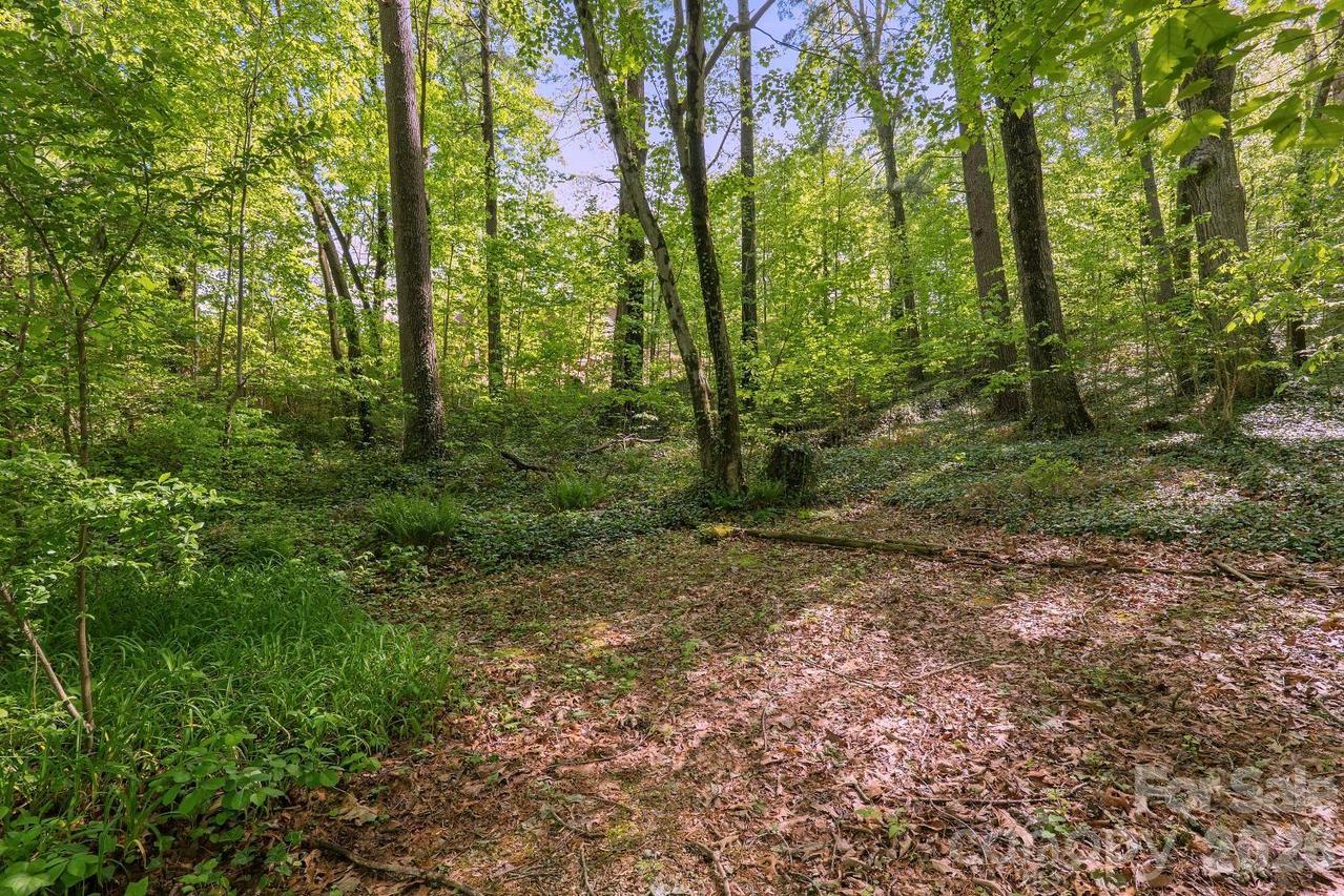 000 Skyline Dr. #17, Hendersonville, NC 28791