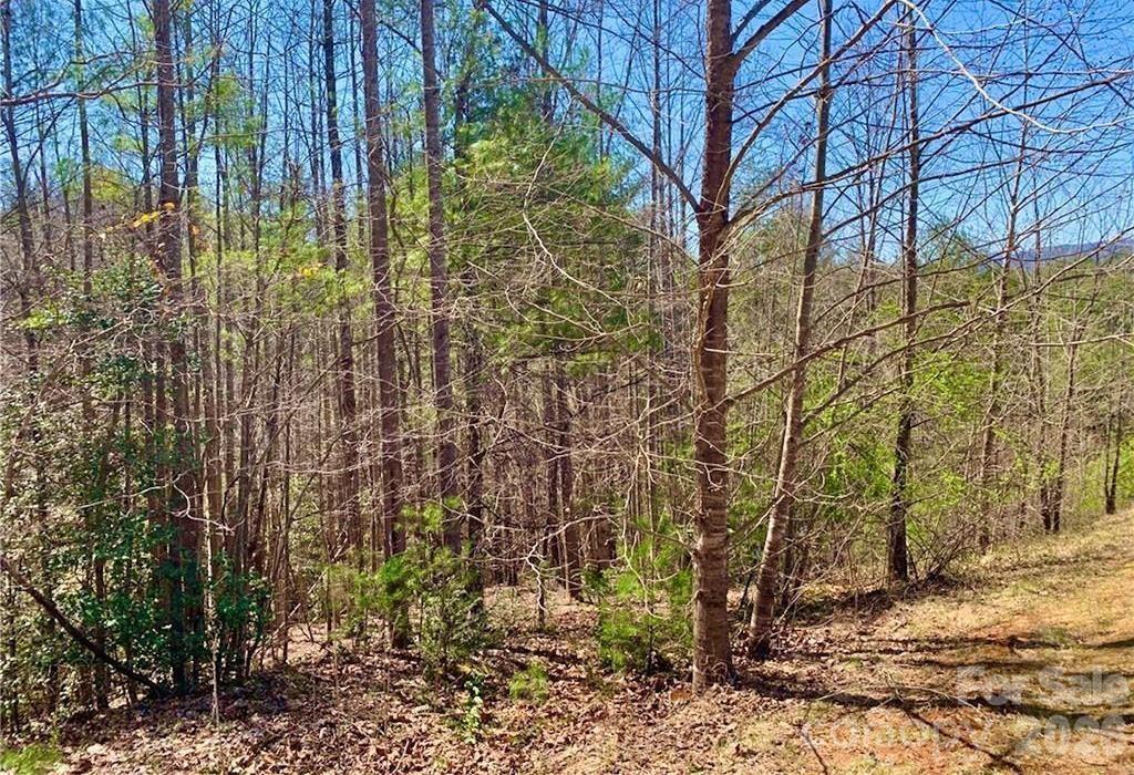 Lot 148 Rocky Falls Ln. #148, Lenoir, NC 28645