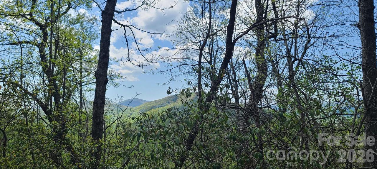 102 High Cliffs Tr., Black Mountain, NC 28711
