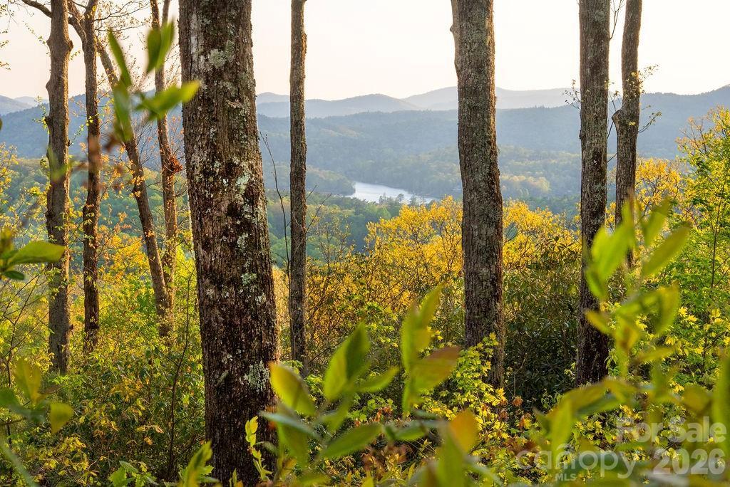 175 Skyview Rd. #L-5, Lake Toxaway, NC 28747