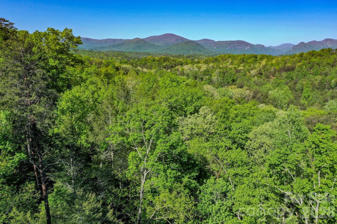 Willow Top Ln., Lake Lure, NC 28746