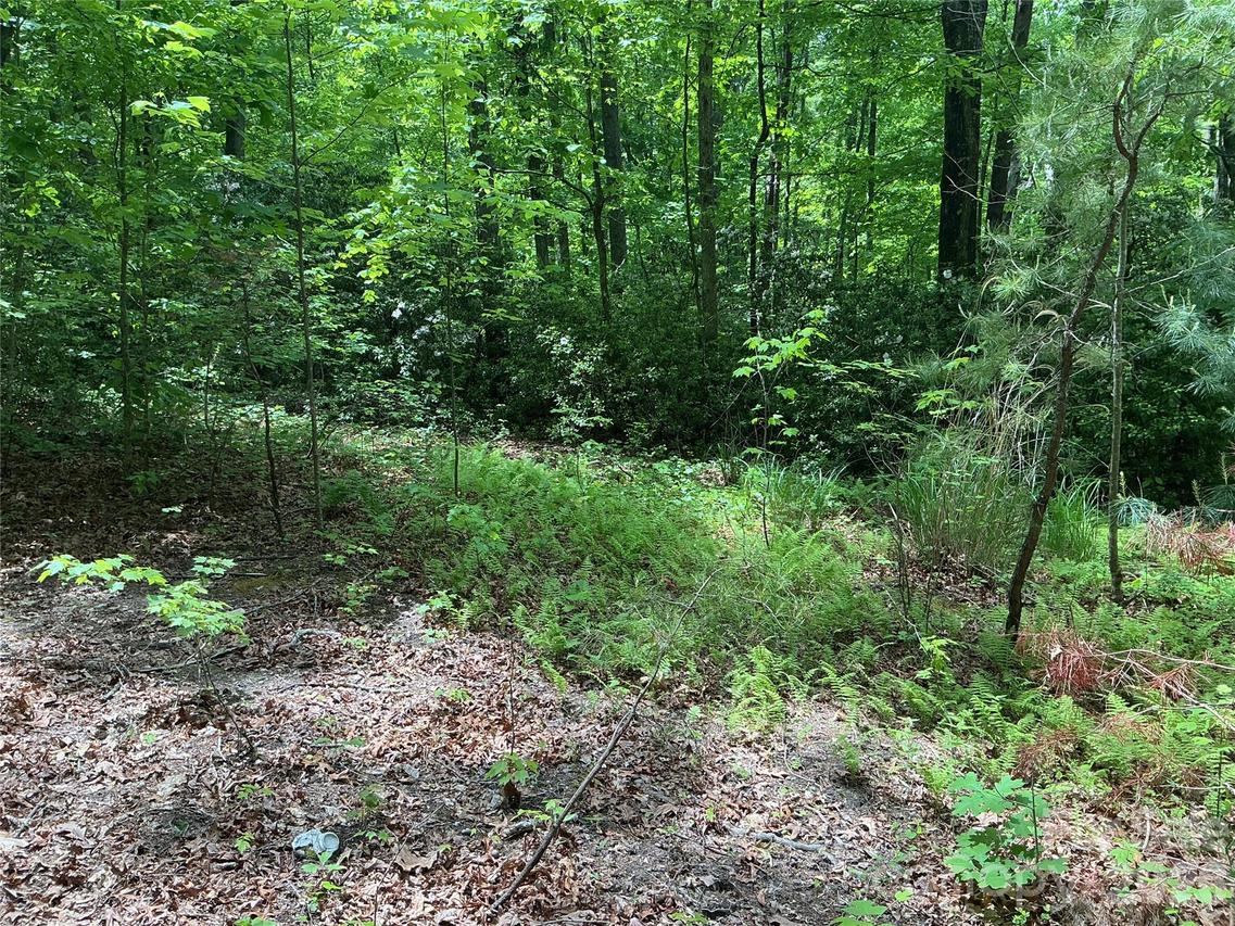 00 Green River Cove Rd., Saluda, NC 28773