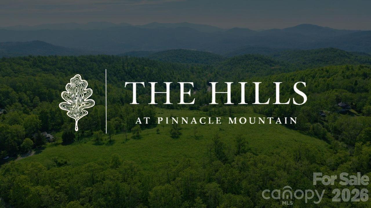 4105 Pinnacle Mountain Rd., Zirconia, NC 28790