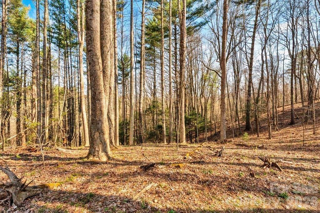 tbd Private Dr., Sugar Grove, NC 28679