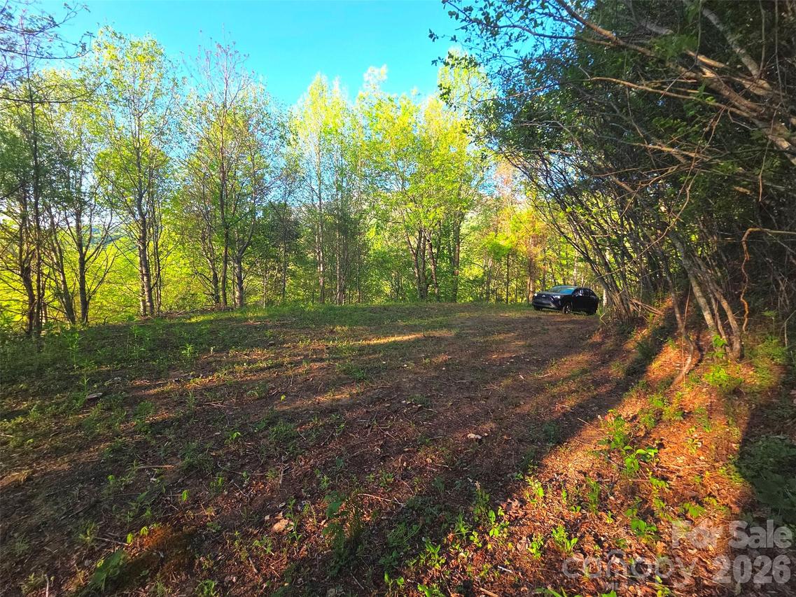 50 Turtle Rock Ln. #6, Waynesville, NC 28785