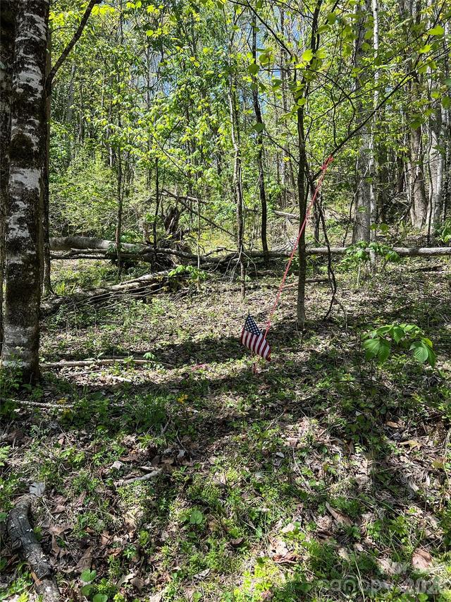 Lot# 34 Buckeye Creek Rd. #34, Beech Mountain, NC 28622