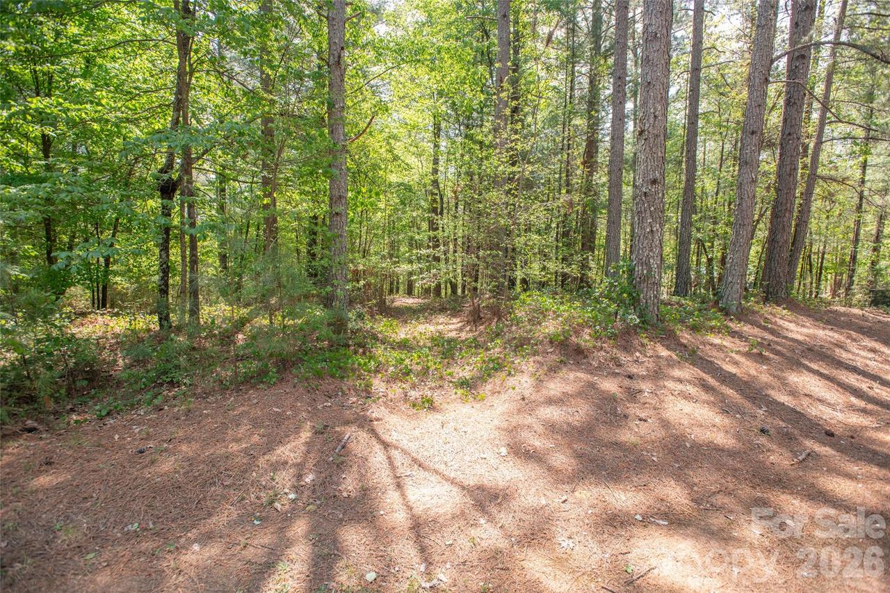 1518 W Paradise Harbor Dr., Connelly Springs, NC 28612